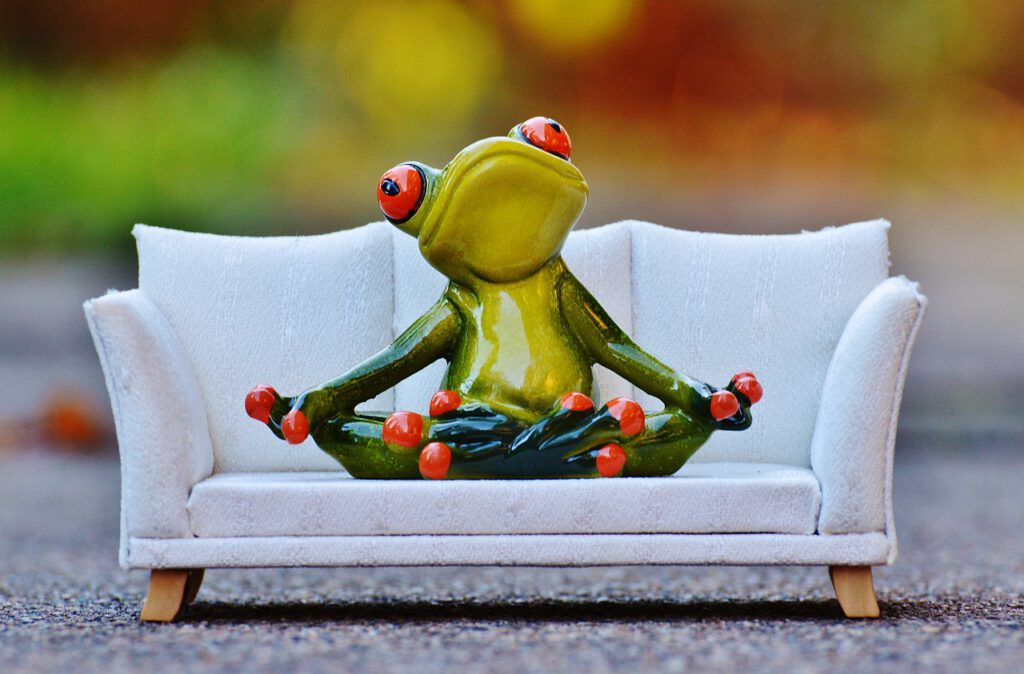 Froggi_Couch